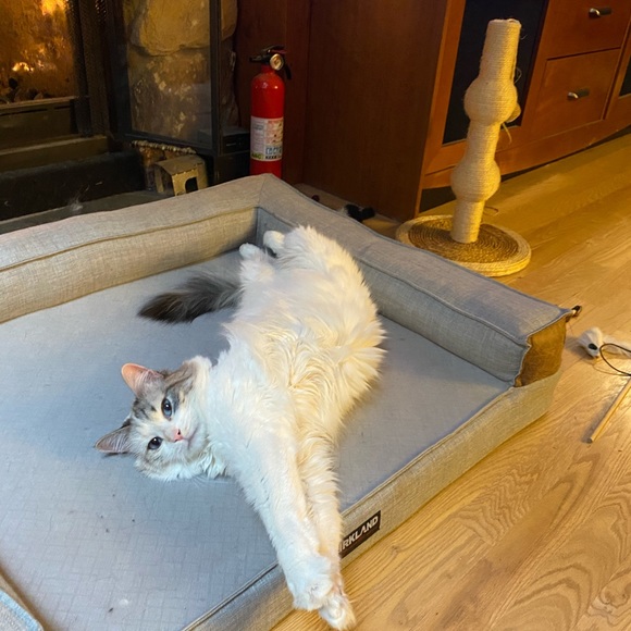 Meet your Posher, Michelle - Picture 9 of 17